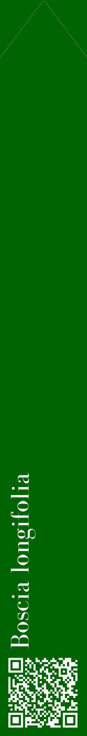Étiquette de : Boscia longifolia - format c - style blanche8_simplebod avec qrcode et comestibilité