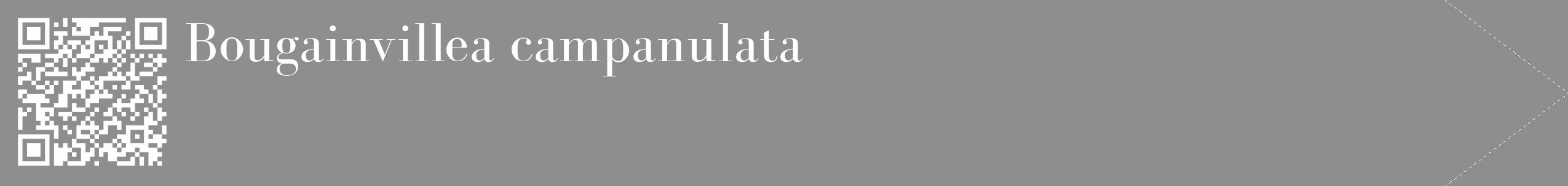 Étiquette de : Bougainvillea campanulata - format c - style blanche25_simple_simplebod avec qrcode et comestibilité