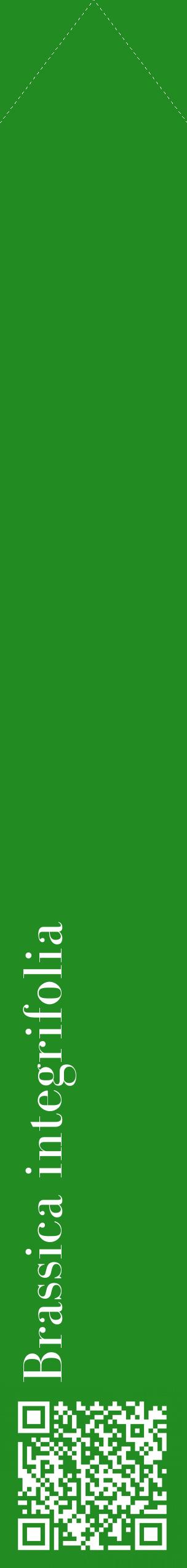 Étiquette de : Brassica integrifolia - format c - style blanche10_simplebod avec qrcode et comestibilité