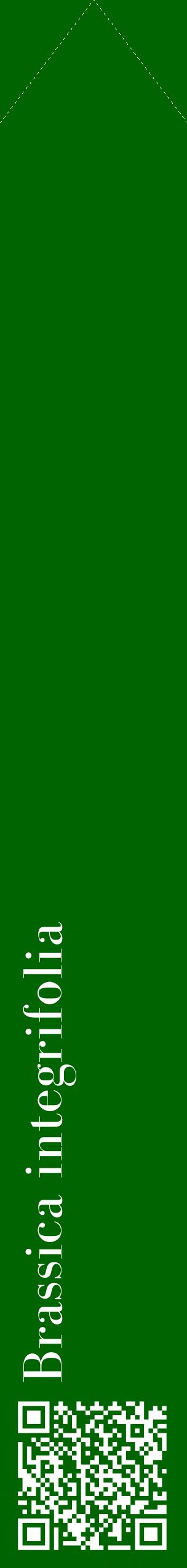 Étiquette de : Brassica integrifolia - format c - style blanche8_simplebod avec qrcode et comestibilité