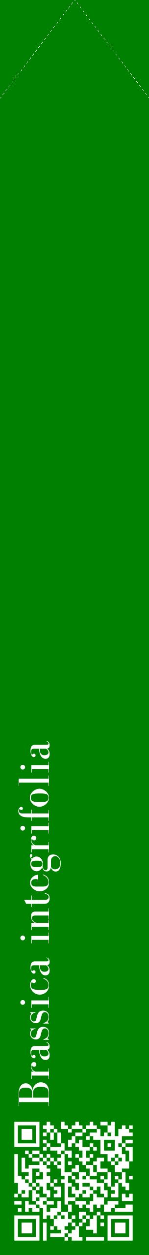 Étiquette de : Brassica integrifolia - format c - style blanche9_simplebod avec qrcode et comestibilité