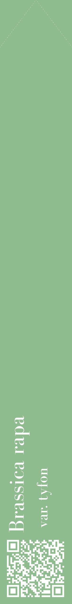 Étiquette de : Brassica rapa var. tyfon - format c - style blanche13_simplebod avec qrcode et comestibilité