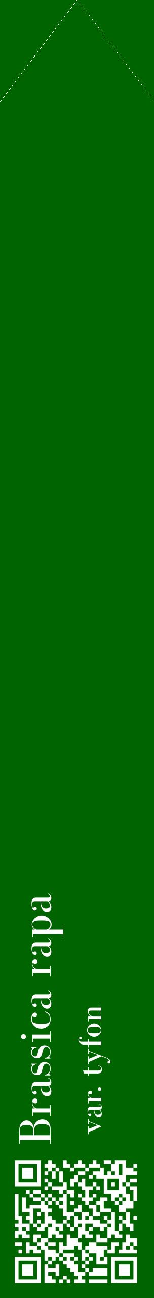 Étiquette de : Brassica rapa var. tyfon - format c - style blanche8_simplebod avec qrcode et comestibilité
