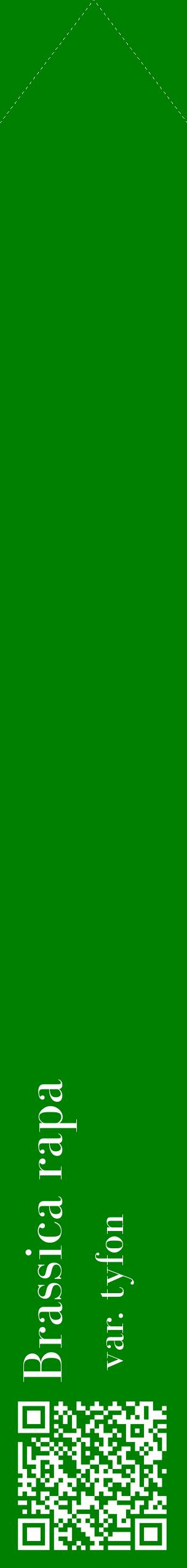 Étiquette de : Brassica rapa var. tyfon - format c - style blanche9_simplebod avec qrcode et comestibilité