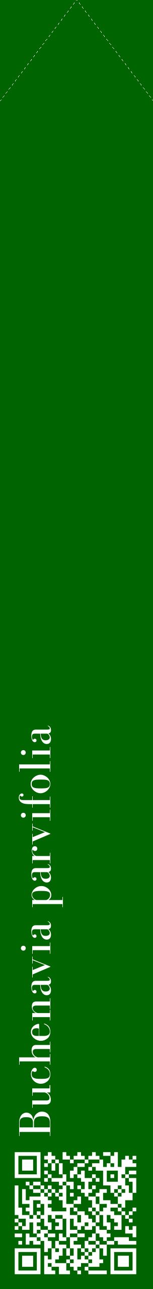 Étiquette de : Buchenavia parvifolia - format c - style blanche8_simplebod avec qrcode et comestibilité