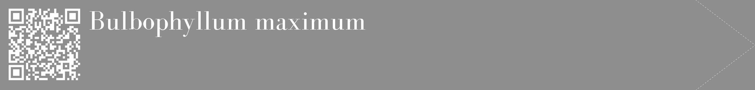 Étiquette de : Bulbophyllum maximum - format c - style blanche25_simple_simplebod avec qrcode et comestibilité
