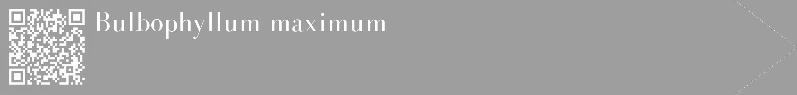 Étiquette de : Bulbophyllum maximum - format c - style blanche42_simple_simplebod avec qrcode et comestibilité