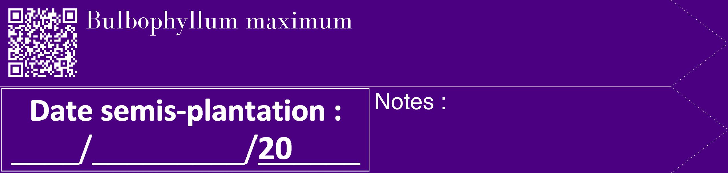 Étiquette de : Bulbophyllum maximum - format c - style blanche47_simple_simplebod avec qrcode et comestibilité
