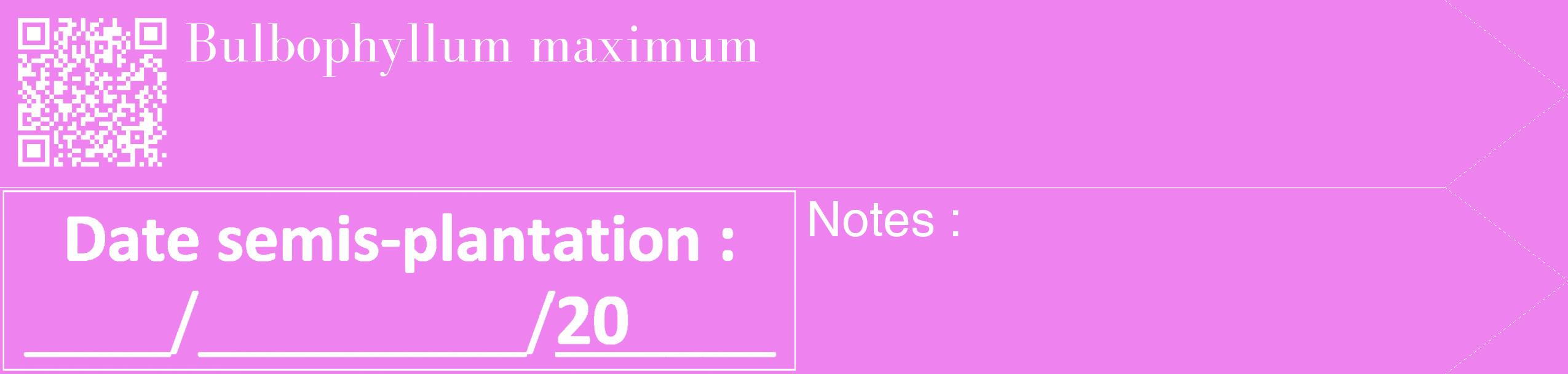 Étiquette de : Bulbophyllum maximum - format c - style blanche53_simple_simplebod avec qrcode et comestibilité