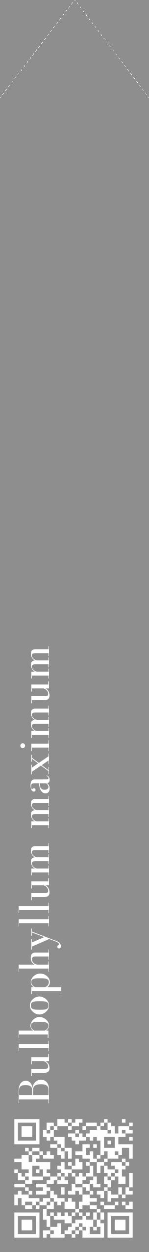 Étiquette de : Bulbophyllum maximum - format c - style blanche25_simple_simplebod avec qrcode et comestibilité - position verticale