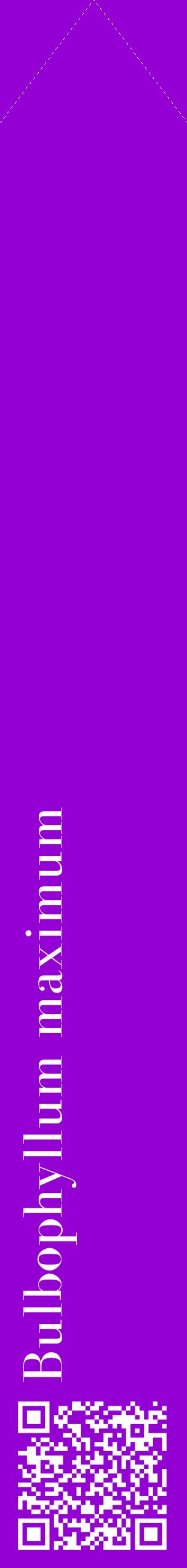 Étiquette de : Bulbophyllum maximum - format c - style blanche48_simplebod avec qrcode et comestibilité