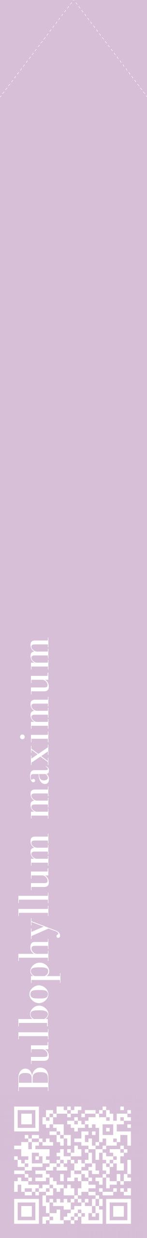 Étiquette de : Bulbophyllum maximum - format c - style blanche54_simplebod avec qrcode et comestibilité