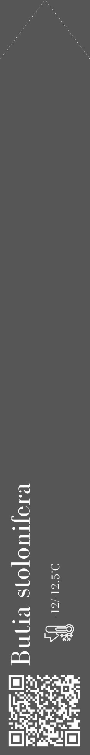 Étiquette de : Butia stolonifera - format c - style blanche45_simple_simplebod avec qrcode et comestibilité - position verticale