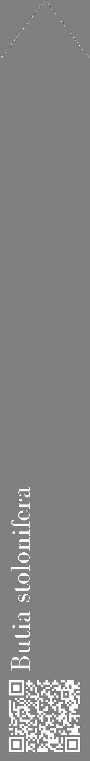 Étiquette de : Butia stolonifera - format c - style blanche57_simplebod avec qrcode et comestibilité