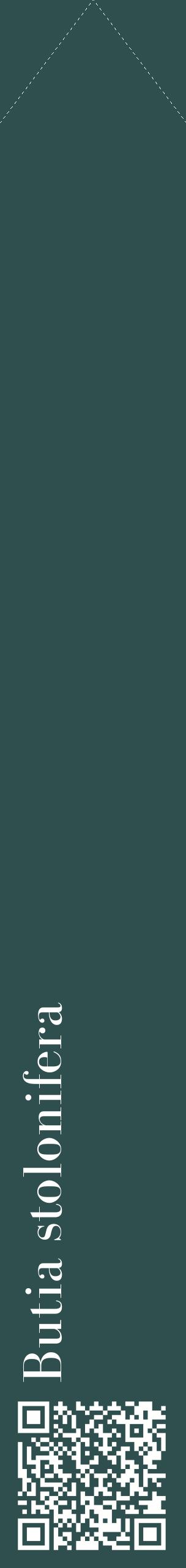 Étiquette de : Butia stolonifera - format c - style blanche58_simplebod avec qrcode et comestibilité
