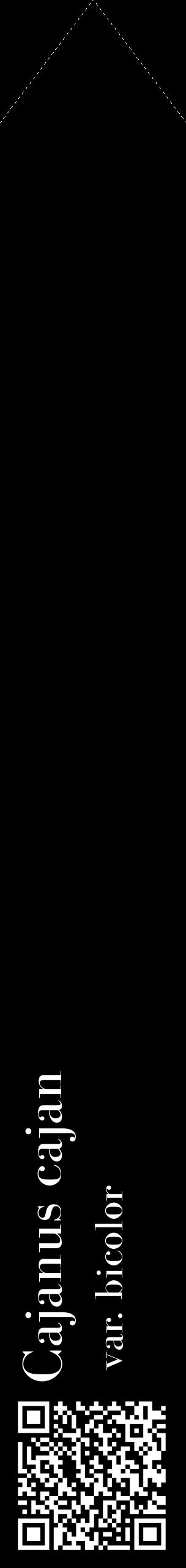 Étiquette de : Cajanus cajan var. bicolor - format c - style blanche59_simplebod avec qrcode et comestibilité