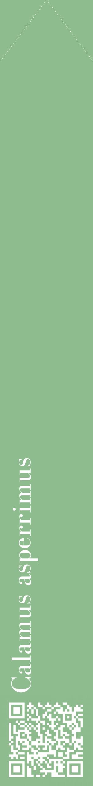 Étiquette de : Calamus asperrimus - format c - style blanche13_simplebod avec qrcode et comestibilité