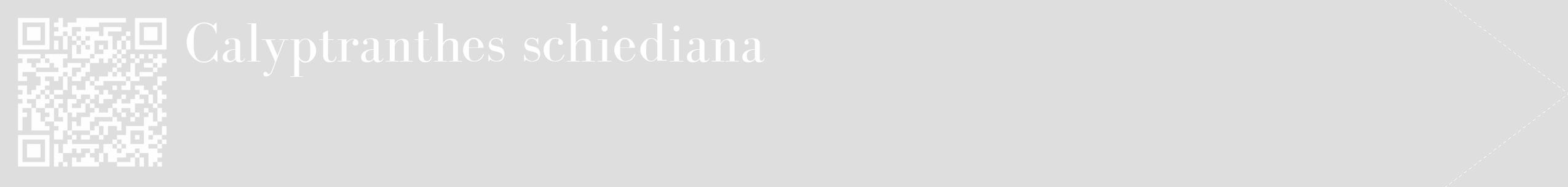Étiquette de : Calyptranthes schiediana - format c - style blanche20_simple_simplebod avec qrcode et comestibilité