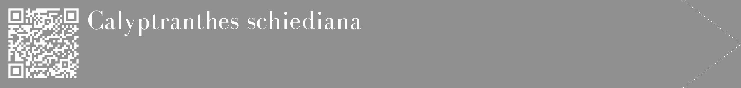 Étiquette de : Calyptranthes schiediana - format c - style blanche4_simple_simplebod avec qrcode et comestibilité