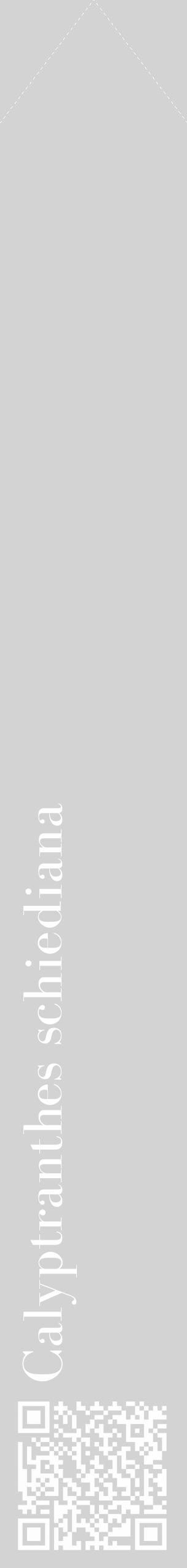 Étiquette de : Calyptranthes schiediana - format c - style blanche56_simple_simplebod avec qrcode et comestibilité - position verticale