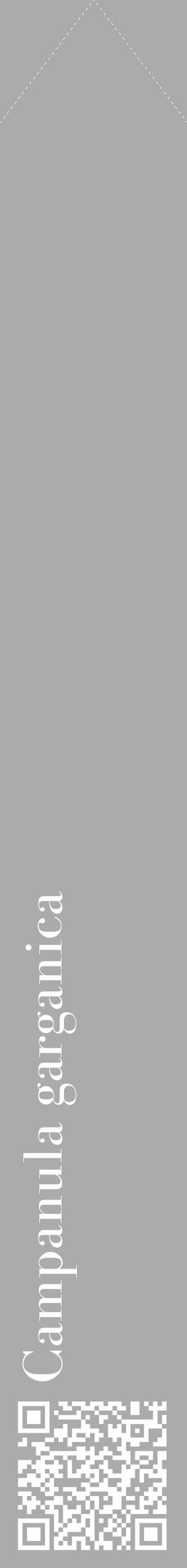 Étiquette de : Campanula garganica - format c - style blanche37_simple_simplebod avec qrcode et comestibilité - position verticale