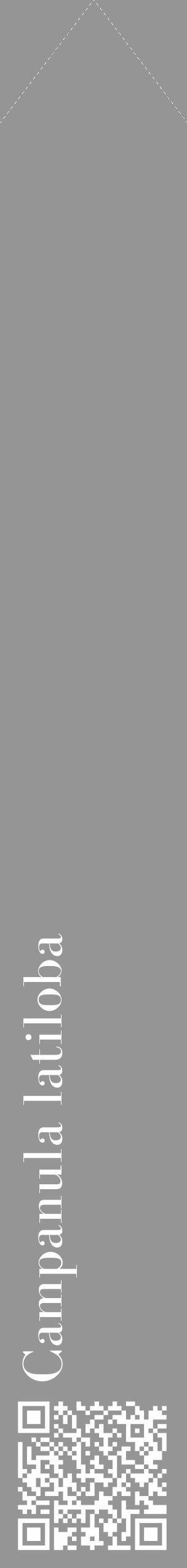 Étiquette de : Campanula latiloba - format c - style blanche16_simple_simplebod avec qrcode et comestibilité - position verticale
