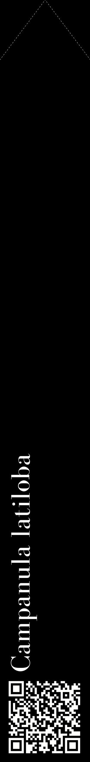 Étiquette de : Campanula latiloba - format c - style blanche59_simplebod avec qrcode et comestibilité