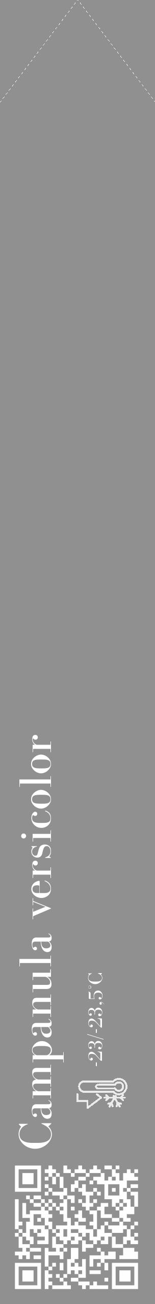 Étiquette de : Campanula versicolor - format c - style blanche4_simple_simplebod avec qrcode et comestibilité - position verticale