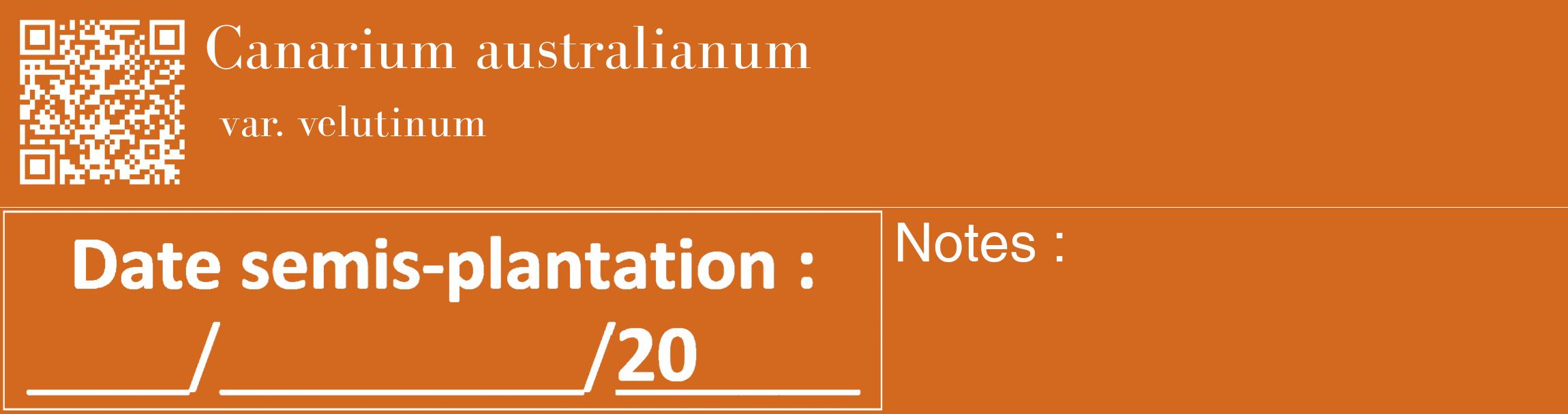 Étiquette de : Canarium australianum var. velutinum - format c - style blanche31_basique_basiquebod avec qrcode et comestibilité