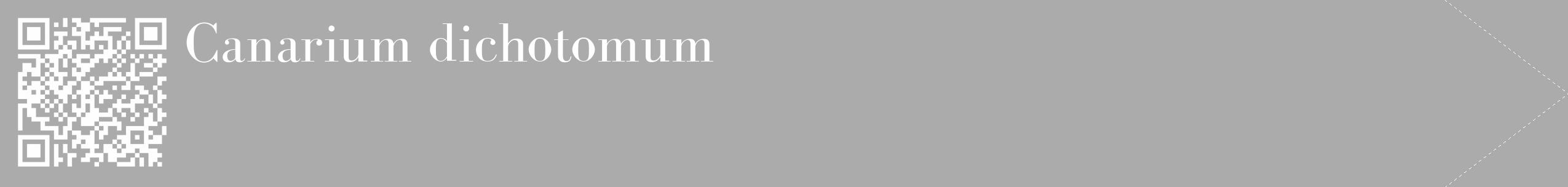 Étiquette de : Canarium dichotomum - format c - style blanche37_simple_simplebod avec qrcode et comestibilité