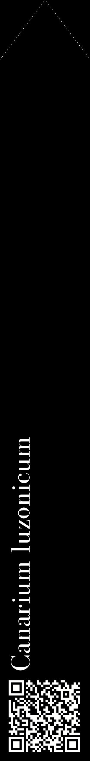 Étiquette de : Canarium luzonicum - format c - style blanche59_simplebod avec qrcode et comestibilité