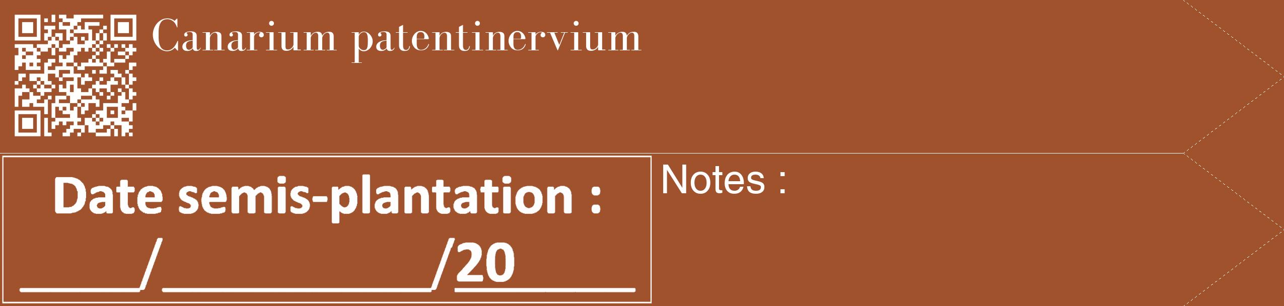 Étiquette de : Canarium patentinervium - format c - style blanche32_simple_simplebod avec qrcode et comestibilité