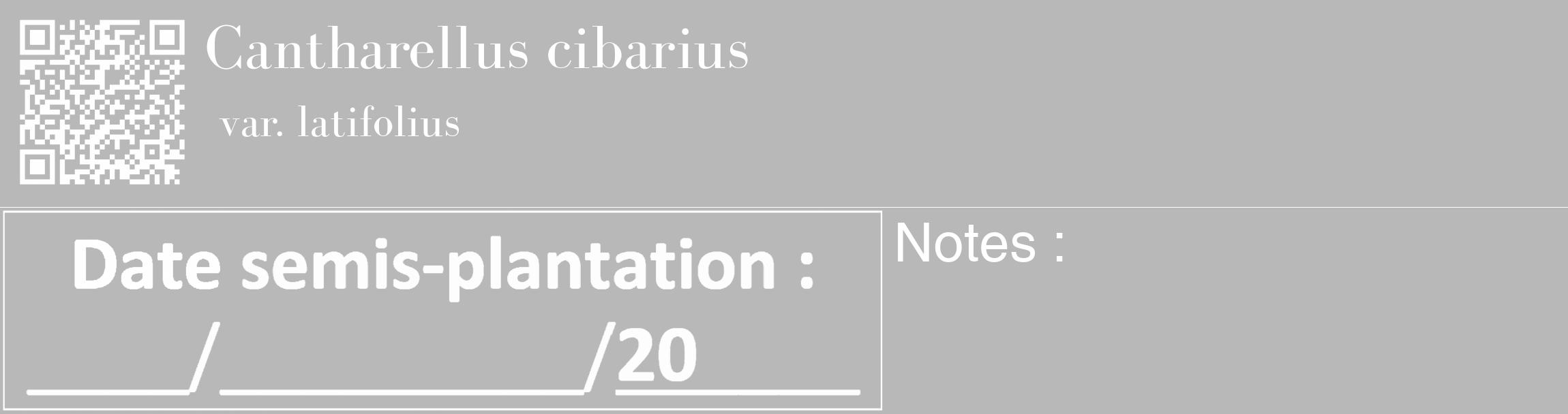 Étiquette de : Cantharellus cibarius var. latifolius - format c - style blanche39_basique_basiquebod avec qrcode et comestibilité