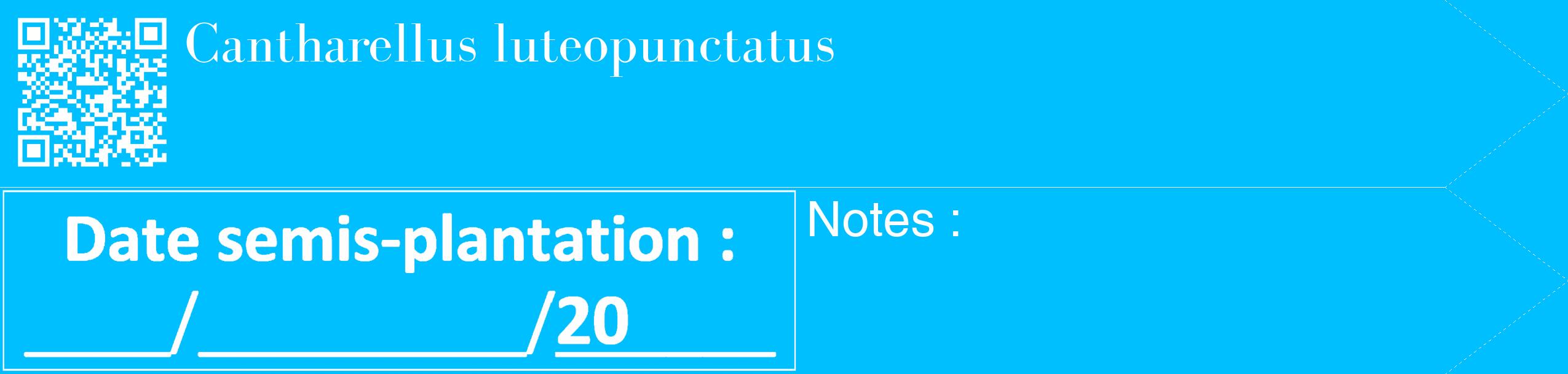Étiquette de : Cantharellus luteopunctatus - format c - style blanche2_simple_simplebod avec qrcode et comestibilité