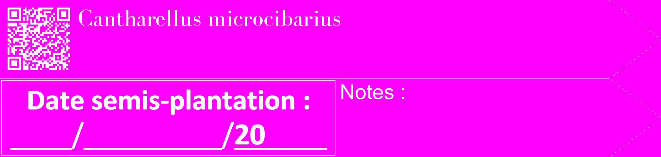 Étiquette de : Cantharellus microcibarius - format c - style blanche51_simple_simplebod avec qrcode et comestibilité