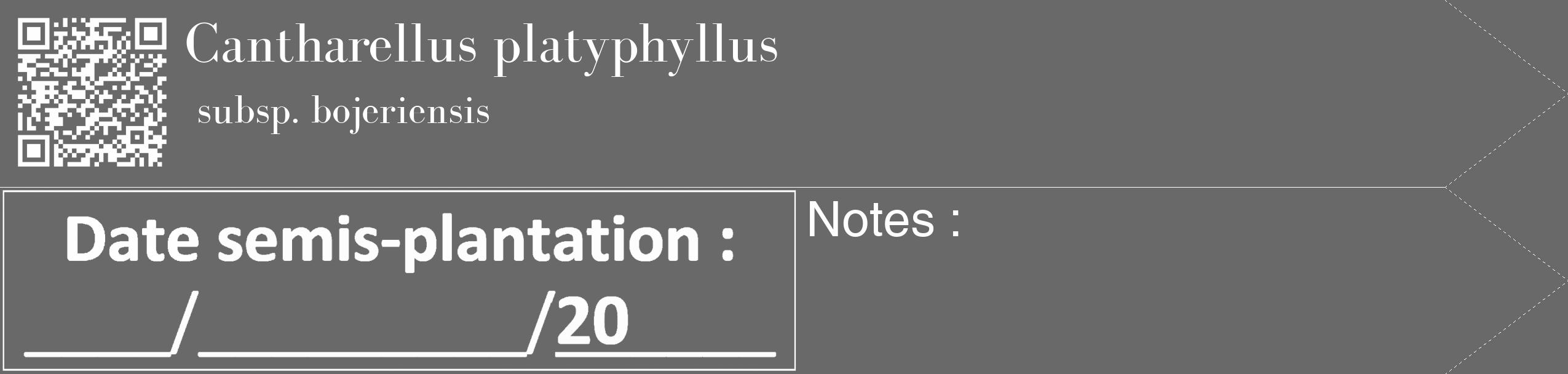 Étiquette de : Cantharellus platyphyllus subsp. bojeriensis - format c - style blanche11_simple_simplebod avec qrcode et comestibilité