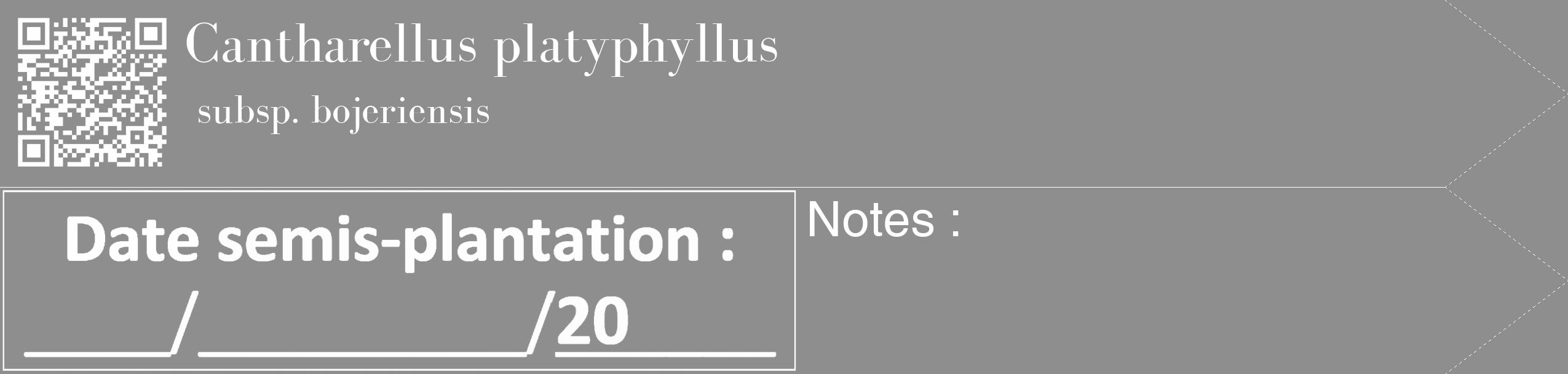 Étiquette de : Cantharellus platyphyllus subsp. bojeriensis - format c - style blanche25_simple_simplebod avec qrcode et comestibilité