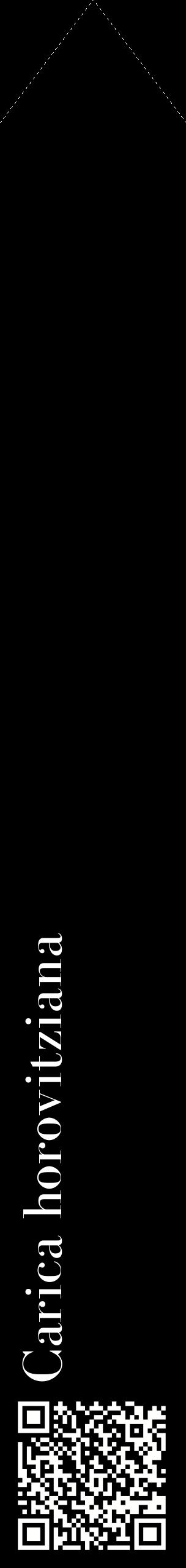 Étiquette de : Carica horovitziana - format c - style blanche59_simplebod avec qrcode et comestibilité