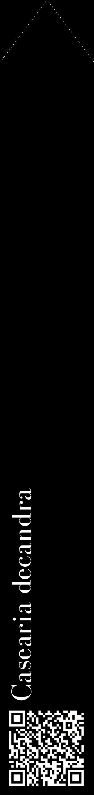 Étiquette de : Casearia decandra - format c - style blanche59_simplebod avec qrcode et comestibilité