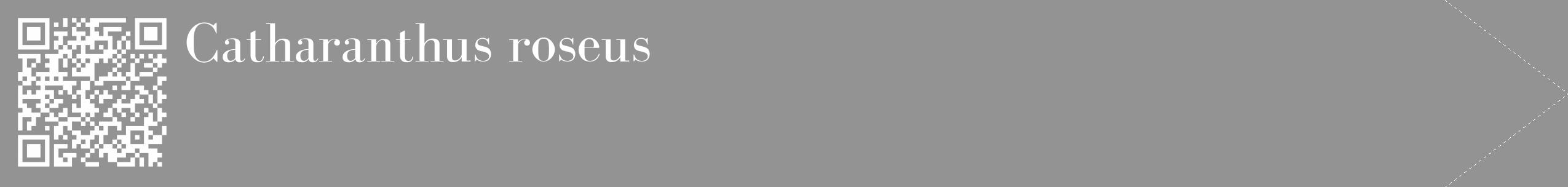 Étiquette de : Catharanthus roseus - format c - style blanche44_simple_simplebod avec qrcode et comestibilité