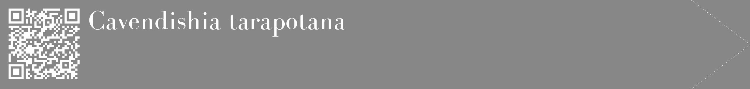 Étiquette de : Cavendishia tarapotana - format c - style blanche12_simple_simplebod avec qrcode et comestibilité