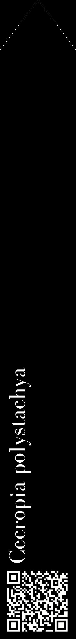 Étiquette de : Cecropia polystachya - format c - style blanche59_simplebod avec qrcode et comestibilité