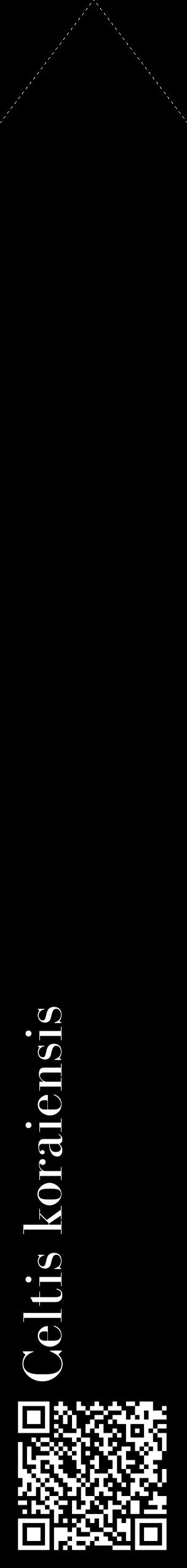 Étiquette de : Celtis koraiensis - format c - style blanche59_simplebod avec qrcode et comestibilité