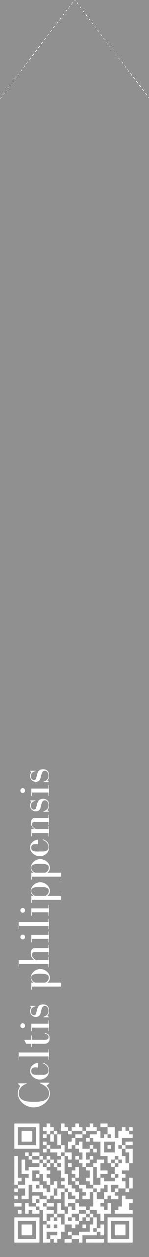 Étiquette de : Celtis philippensis - format c - style blanche4_simple_simplebod avec qrcode et comestibilité - position verticale