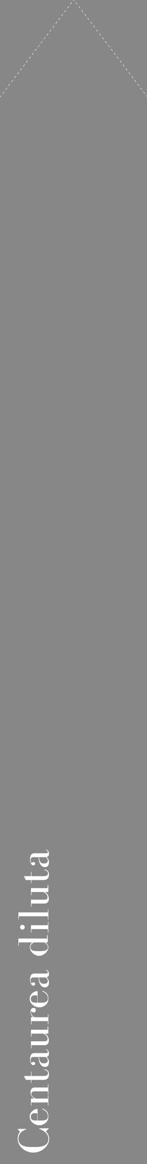 Étiquette de : Centaurea diluta - format c - style blanche12_simple_simplebod avec comestibilité - position verticale