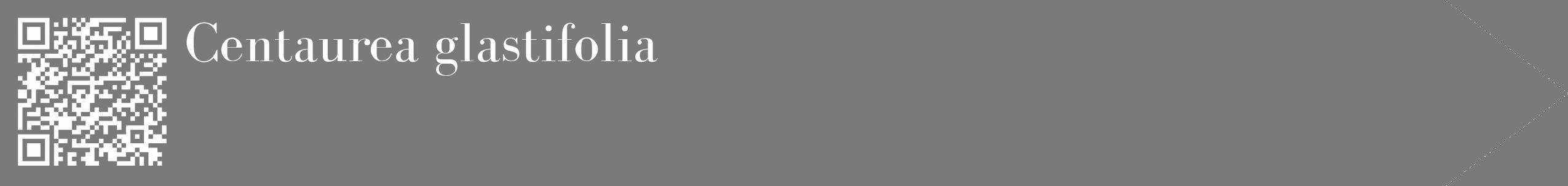 Étiquette de : Centaurea glastifolia - format c - style blanche3_simple_simplebod avec qrcode et comestibilité
