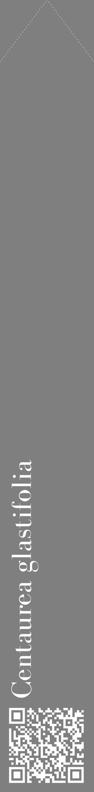 Étiquette de : Centaurea glastifolia - format c - style blanche31_simple_simplebod avec qrcode et comestibilité - position verticale