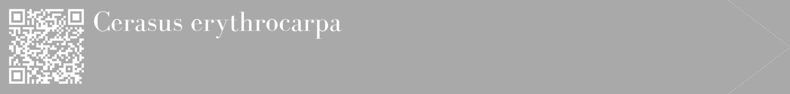 Étiquette de : Cerasus erythrocarpa - format c - style blanche13_simple_simplebod avec qrcode et comestibilité