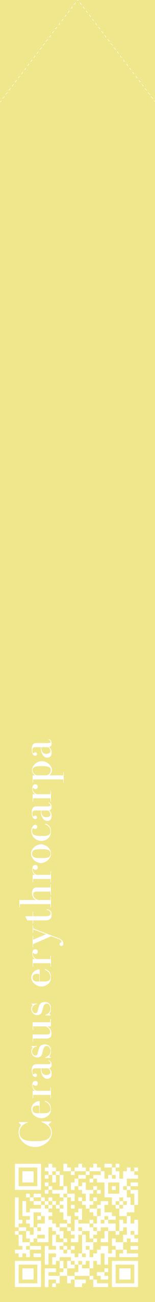 Étiquette de : Cerasus erythrocarpa - format c - style blanche20_simplebod avec qrcode et comestibilité