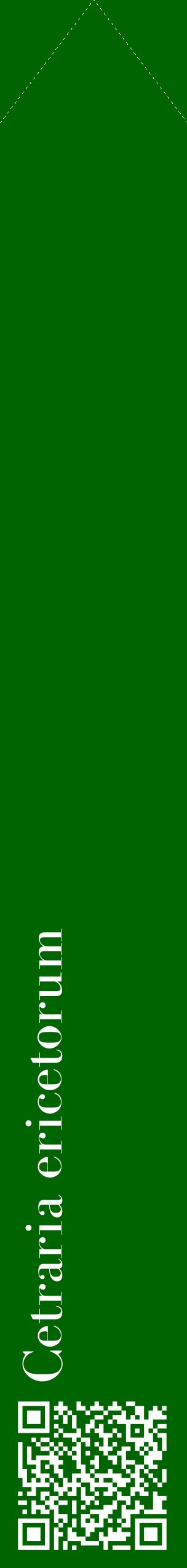 Étiquette de : Cetraria ericetorum - format c - style blanche8_simplebod avec qrcode et comestibilité